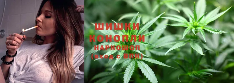 Конопля SATIVA & INDICA  где найти   Ардатов 